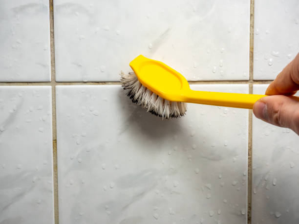 Best Mold Remediation  in Catawba, SC