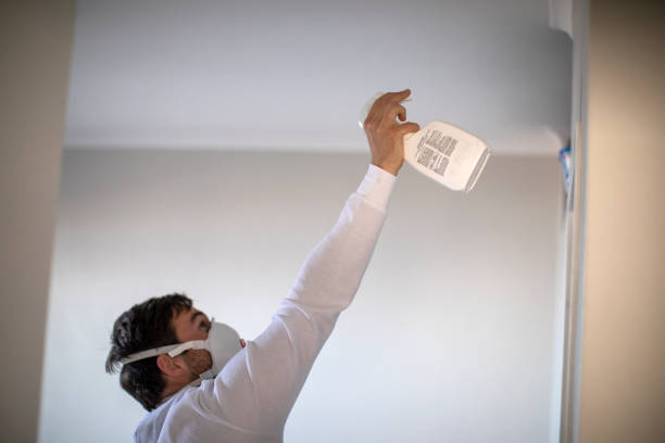 Best Mold Remediation Experts  in Catawba, SC